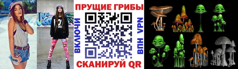Псилоцибиновые грибы GOLDEN TEACHER  ОМГ ОМГ сайт  Чердынь  хочу наркоту 